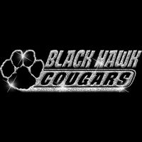 GLT102 SILVER GLITTER Thumbnail