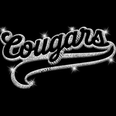 GLT78   SILVER GLITTER Thumbnail